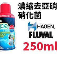 【北高雄】【出清免運】HAGEN 富濾霸節能造浪器CP3(200L)赫根 歷史價格詳細信息