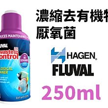 【北高雄】【出清免運】HAGEN 富濾霸節能造浪器CP3(200L)赫根 歷史價格詳細信息