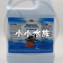 【亮亮水族】水質處理~伊士達活力光合硝化菌1000ml/罐 歷史價格詳細信息