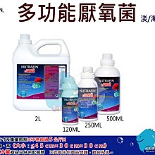 "魚水之歡水族批發" Hagen 赫根ELITE HUSH外掛專用活性碳插卡棉板 35號(2片)~大俗賣~! 歷史價格詳細信息