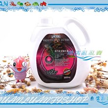 【魚店亂亂賣】松寶SOBO內置過濾器WP-1300F沉水內置式600L(低水位)兩棲爬蟲烏龜缸 歷史價格詳細信息