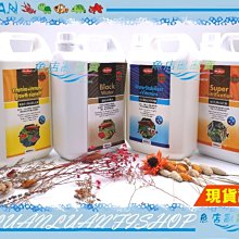 【魚店亂亂賣】松寶SOBO內置過濾器WP-1300F沉水內置式600L(低水位)兩棲爬蟲烏龜缸 歷史價格詳細信息