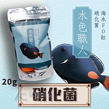 【AC草影】胭脂紅蝴蝶【三株】 歷史價格詳細信息