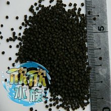 欣欣水族~AK82-Tropical波蘭德比克~(大.小兩種顆粒)特級【螺旋藻】強化薄餅1000ml 歷史價格詳細信息