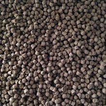 【日本正版】日清小雞 B鉛筆 2入組 日本製 鉛筆 圓軸鉛筆 日清食品 - 487533 歷史價格詳細信息