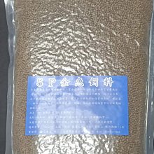 《紅樹林潤娥》小饅頭遮瑕刷(小紅書熱薦) 歷史價格詳細信息