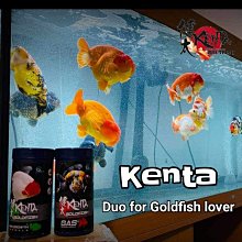 泰國原版金屬圓珠佛牌鏈保色微鑲圓扣三掛快拆適合各種佛牌男女款-沐陽家居 歷史價格詳細信息