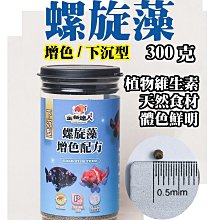 人魚沉睡的家DVD，篠原涼子, 西島秀俊, 坂口健太郎，台灣正版全新108/8/9發行 歷史價格詳細信息