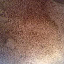 【日本正版】日清小雞 B鉛筆 2入組 日本製 鉛筆 圓軸鉛筆 日清食品 - 487533 歷史價格詳細信息