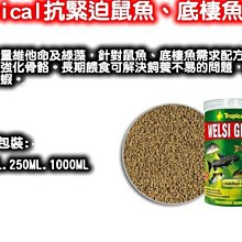 欣欣水族~AK82-Tropical波蘭德比克~(大.小兩種顆粒)特級【螺旋藻】強化薄餅1000ml 歷史價格詳細信息