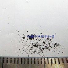 ~欣欣水族 AG23 迷你石英陶瓷環~100克~約80個 歷史價格詳細信息