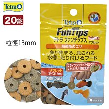 小郭水族-信友【 黑色 生化棉  60*45*5cm 】上部過濾 陶瓷環 活性碳 參考 歷史價格詳細信息