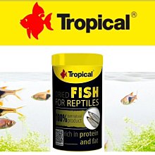 微笑的魚水族☆【乾濕分離上部式過濾槽(三層) 2尺/ 二尺(適用傳統缸)】底濾式設計 / 乾溼分離 歷史價格詳細信息