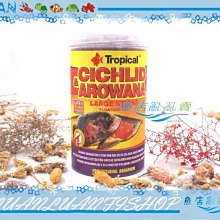 【魚店亂亂賣】龍騰浪板透明導流管(加長版)大(24cm)過濾強化底板氣泡水柱打氣管(接打氣機使用) 歷史價格詳細信息