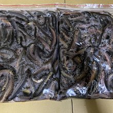 *華遠水族* 活凍白蝦 冷凍白蝦  盒裝   批發 零售 活餌 釣餌 1kg 歷史價格詳細信息