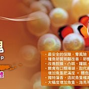 ◎ 水族之森 ◎日本 Hikari 高夠力 艷紅燈科魚飼料（80g）"日本國內限定“ 歷史價格詳細信息