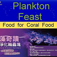 ◎ 水族之森 ◎日本 Hikari 高夠力 艷紅燈科魚飼料（80g）"日本國內限定“ 歷史價格詳細信息