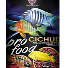 UP 雅柏 緩沉性片狀 七彩 神仙魚飼料(500ml) E-637-500 歷史價格詳細信息