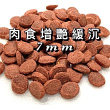 恐怖異形入侵DVD，Alien Raiders，台灣正版全新 歷史價格詳細信息