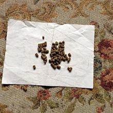 【蝦正甜】鮮嫩Ｑ彈泰國蝦(鮮嫩Q彈母蝦)(CAT)*1盒 歷史價格詳細信息