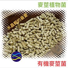 植物很有事 行政院農業委員會花蓮區農業改良場 有機農業 生態農業 生態的觀點出發 植物的病蟲草害問題 五南文化廣場 歷史價格詳細信息