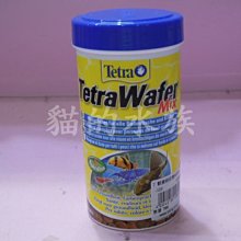 【彩蝦屋】藍眼大帆鬍子  異型魚 對魚 7-8公分 歷史價格詳細信息