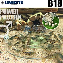 【AC草影】日本 LOWKEYS 倍速（50ml）【一瓶】水晶蝦 水質處理 歷史價格詳細信息
