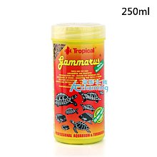 【AC草影】Tropical 德比克 燈科、孔雀魚 滿漢全餐（100ml） 【一瓶】 歷史價格詳細信息