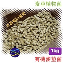 植物很有事 行政院農業委員會花蓮區農業改良場 有機農業 生態農業 生態的觀點出發 植物的病蟲草害問題 五南文化廣場 歷史價格詳細信息