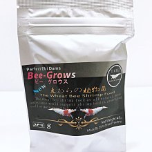 【丸市】日本乾貨 丸市 磯燒干貝糖(500g)(原味/辣味) 歷史價格詳細信息