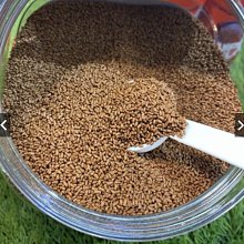 ［水族最便宜］雅柏 200L/H 沈水過濾器 沈水馬達 含濾杯、海綿（適合30～45cm魚缸） 歷史價格詳細信息