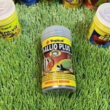 ［水族最便宜］德比克 孔雀魚飼料 燈科魚飼料 小型魚飼料 免疫熱帶魚維他薄片250ML 歷史價格詳細信息