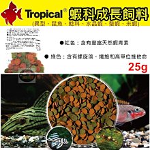 X-94 順治通寶 背工 清錢 古錢幣 古銅幣8049 歷史價格詳細信息