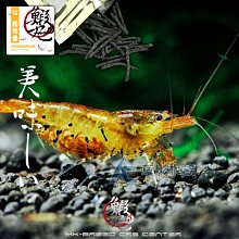 【AC草影】MK-BREED 鰕丸 黑鑽 水晶蝦飼料（25g）【一包】水晶蝦，BAB02047 歷史價格詳細信息
