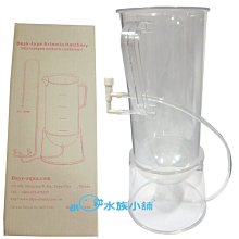 現貨 小型孵化機 36枚孵蛋器 110V雙電源 可接12V 鵪鶉蛋雞蛋鴨蛋孵化 智慧控溫家用型小雞孵化器 歷史價格詳細信息