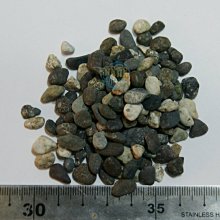 菲利浦進口BC vishay  63v10000uf/63v 056 發燒濾波鋁電解電容 歷史價格詳細信息