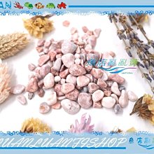 【~魚店亂亂賣~】魚缸造浪萬向旋轉鴨嘴L彎管噴嘴19mm水管出水口噴嘴(沉水馬達)調節水流 歷史價格詳細信息