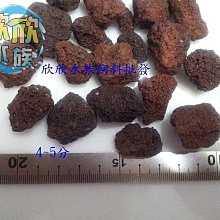 缺貨~欣欣水族~珊瑚砂~約3~5MM~1公斤~約0.9L 歷史價格詳細信息