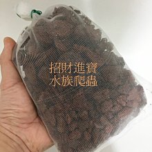 多孔火山石過濾紅色火山石煅燒火爐用黑色火山石顆粒 歷史價格詳細信息