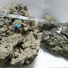 欣欣百貨【出清】M-8XL大尺碼休閒運動背心外套 羽絨馬甲 無袖外套 保暖馬甲 無袖馬甲 鋪棉背心 純色背心外套 坎肩外套 歷史價格詳細信息