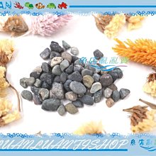 大清乾隆孔雀藍釉玉壺春瓶仿古瓷器古董古玩收藏真品包老包真擺件 歷史價格詳細信息