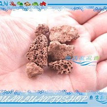 《散裝 100g》迷你陶瓷環 石英環 培菌環 迷你石英陶瓷環 過濾環 陶瓷環 濾水環 濾材 魚缸養菌 淨水 濾水 養水 歷史價格詳細信息