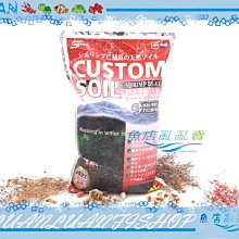 愛蝦趴Sitdownplz龍蝦傘 歷史價格詳細信息