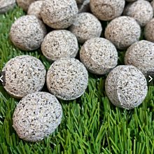 ［水族最便宜］小螃蟹低水位過濾器 200L/H 專用海綿插片2入/盒 歷史價格詳細信息