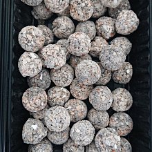 47合1游戲棋兒童六一禮物男孩女孩生日禮物益智玩具有趣彈彈棋 歷史價格詳細信息