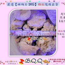 [B.Q.Q小舖]限量清倉~台灣SUNPOLE-崧騰【二代DC變頻水陸兩用沉水馬達VSR-9000】如左圖-紅 歷史價格詳細信息