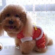 四季褲中國舞蹈練功服女舞蹈褲古典舞蹈練功褲闊腿褲舞褲子 歷史價格詳細信息