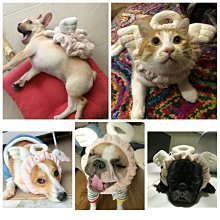 現貨 浴帽 乾髮帽 熊熊浴帽 加厚浴帽 歷史價格詳細信息