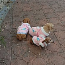 寵物保暖加厚棉衣秋冬新款小兔毛唐裝 價格比較,價格查詢,歷史價格詳細信息