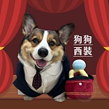 狗衣服 服西裝法斗柯基比熊泰迪小型犬結婚禮服超夯 精品 歷史價格詳細信息